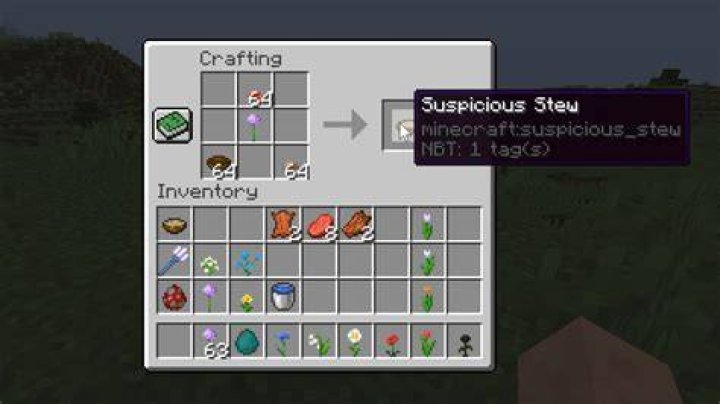 What does suspicious stew do in minecraft