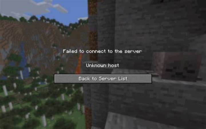 What does unknown host mean in minecraft