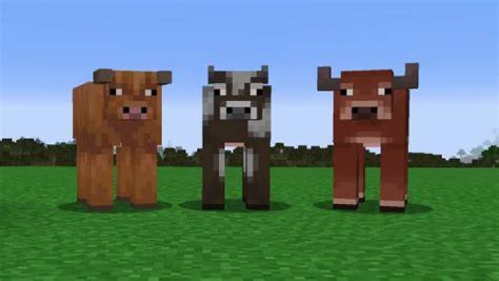 What if we were cows in minecraft