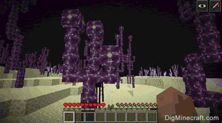 What is a chorus flower in minecraft