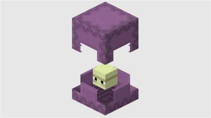 What is a shulker box in minecraft