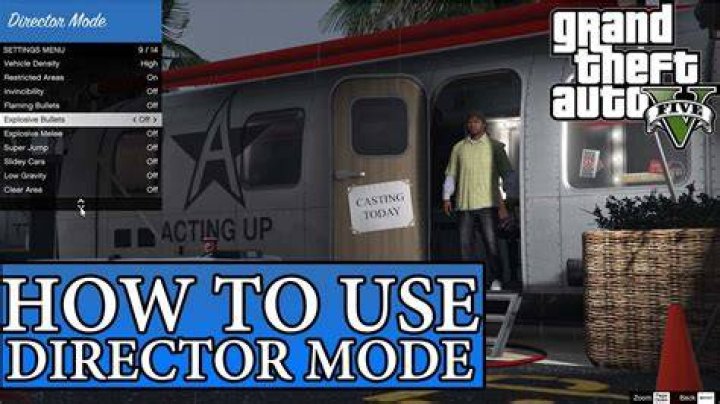 What is director mode in gta 5