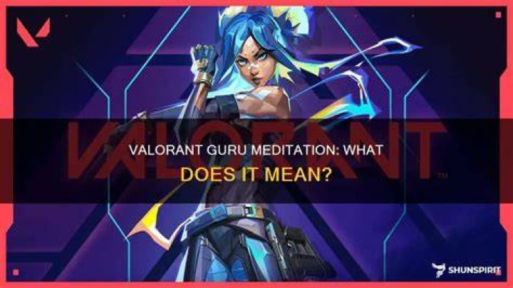 What is guru meditation valorant