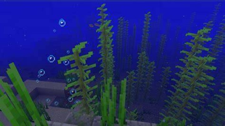 What is kelp used for in minecraft