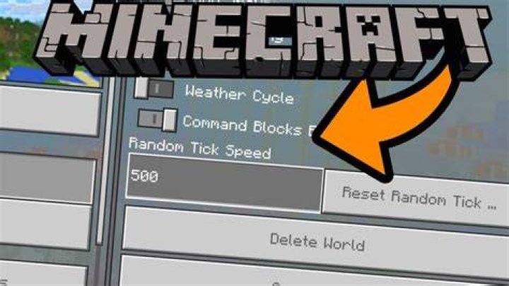 What is random tick speed in minecraft