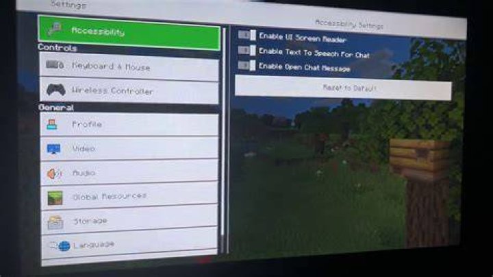 What is screen reader in minecraft