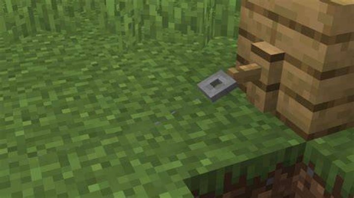 What is string used for in minecraft