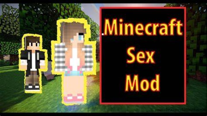 What is the minecraft sex mod