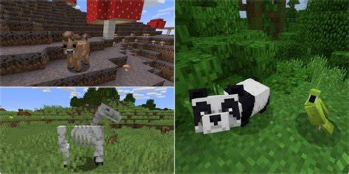 What is the rarest animal in minecraft