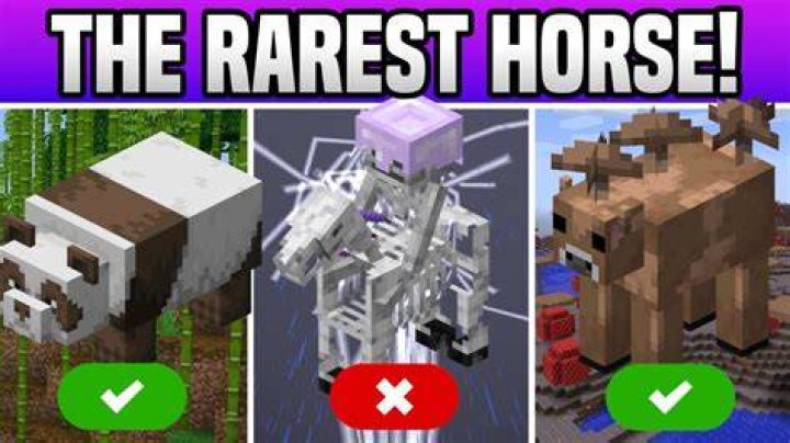What is the rarest horse in minecraft