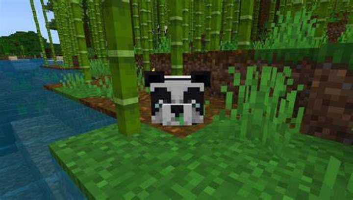 What is the rarest panda in minecraft