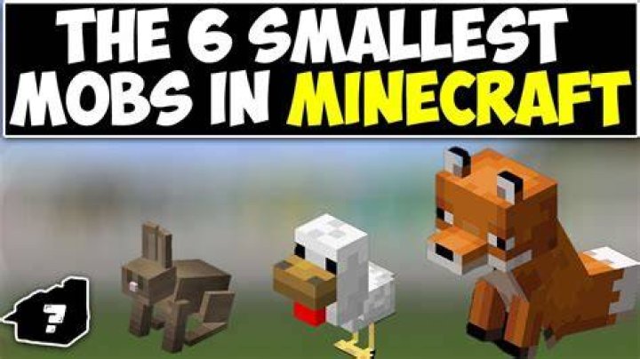 What is the smallest mob in minecraft