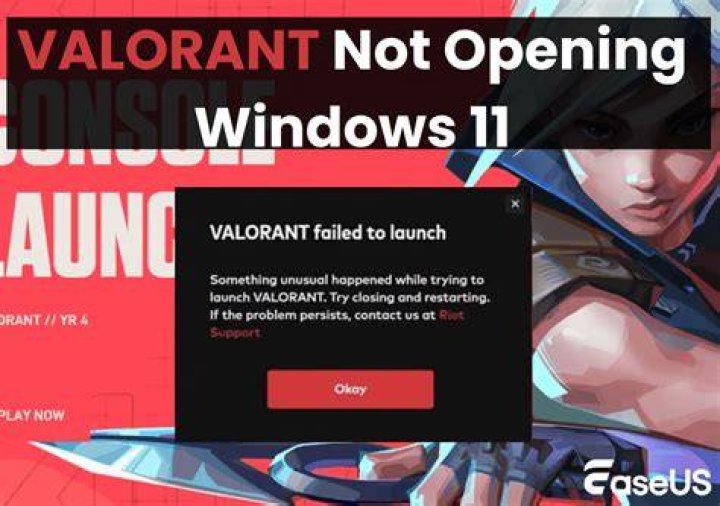What to do if valorant won t open