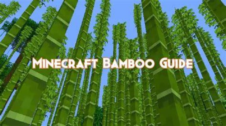 What to do with bamboo in minecraft