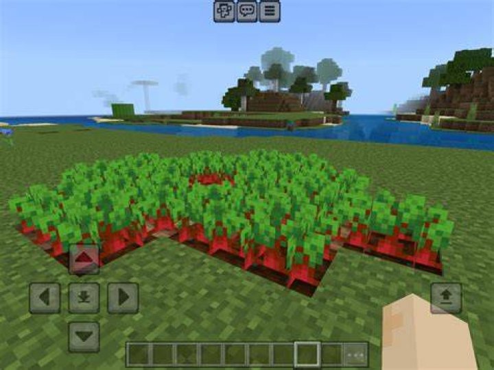 What to do with beetroot minecraft
