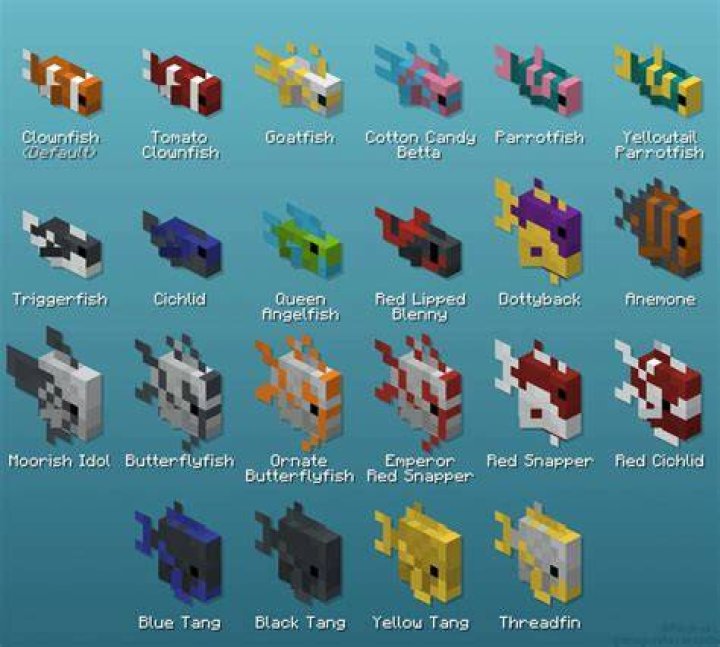 What to do with clownfish in minecraft