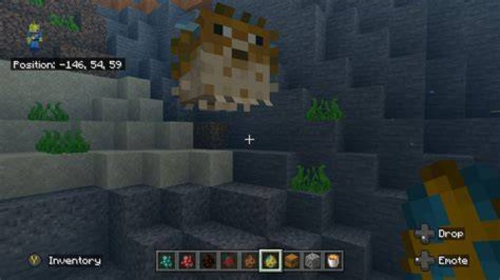 What to do with pufferfish in minecraft