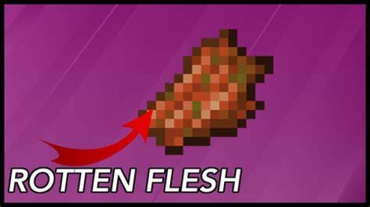 What to do with rotten flesh minecraft