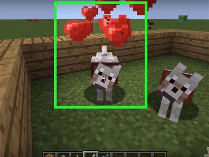 What to feed a dog in minecraft