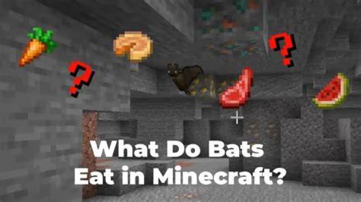 What to feed bats in minecraft