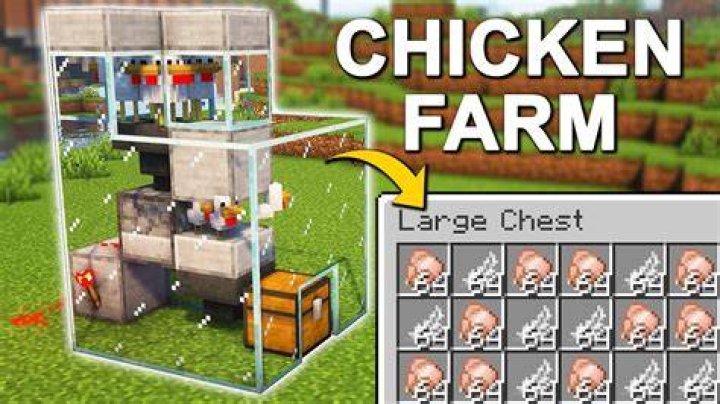 What to feed chicken in minecraft