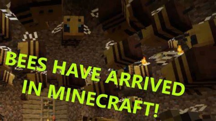 What version of minecraft has bees