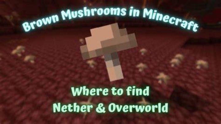 Where are brown mushrooms in minecraft