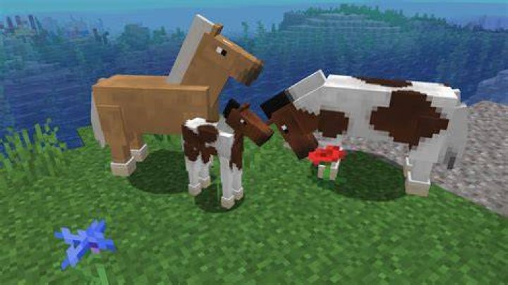 Where are horses found in minecraft