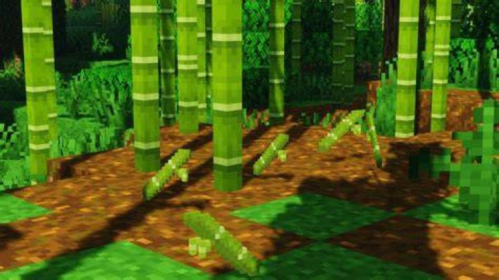 Where can i find bamboo in minecraft