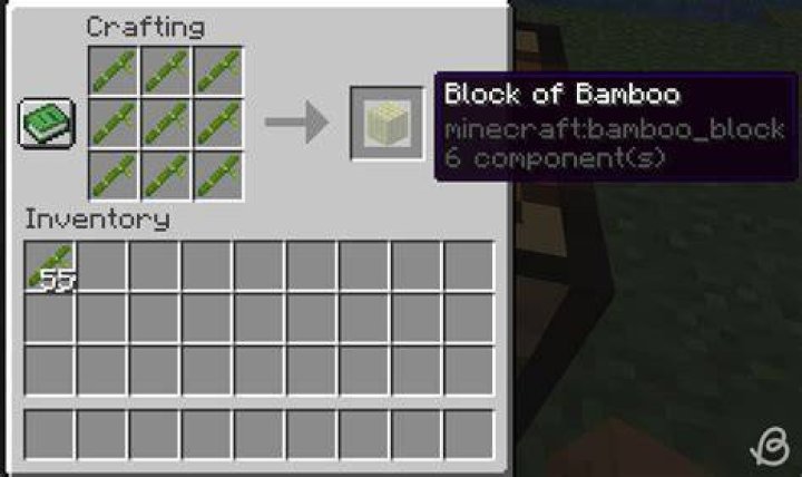 Where can you find bamboo in minecraft