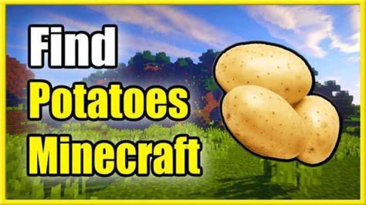 Where can you find potatoes in minecraft