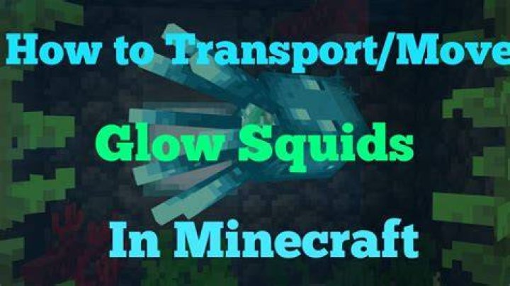 Where do glow squids spawn in minecraft