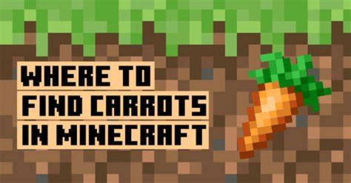Where do you find carrots in minecraft