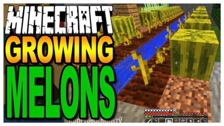 Where do you find melons in minecraft