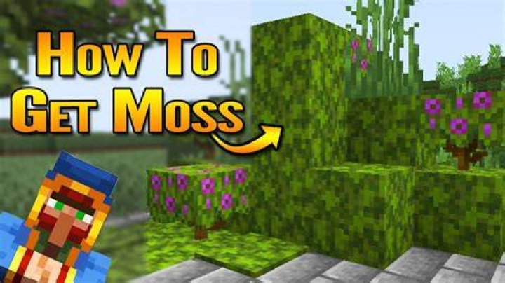 Where do you find moss in minecraft