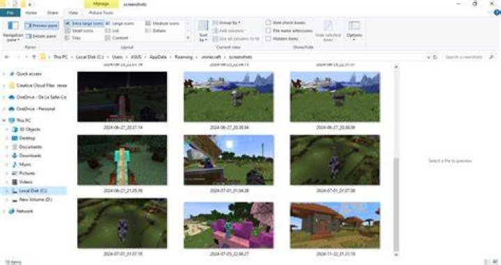Where do your minecraft screenshots go