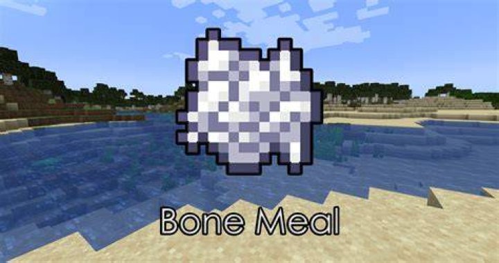 Where is bone meal in minecraft