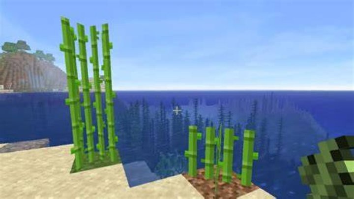 Where is sugar cane in minecraft