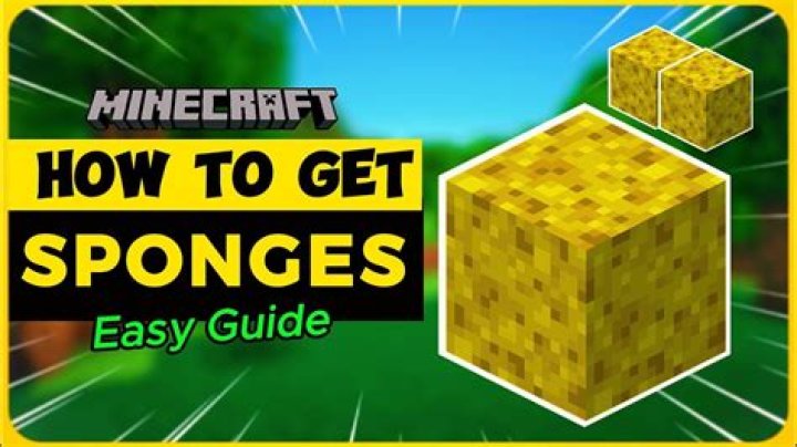 Where to find a sponge in minecraft