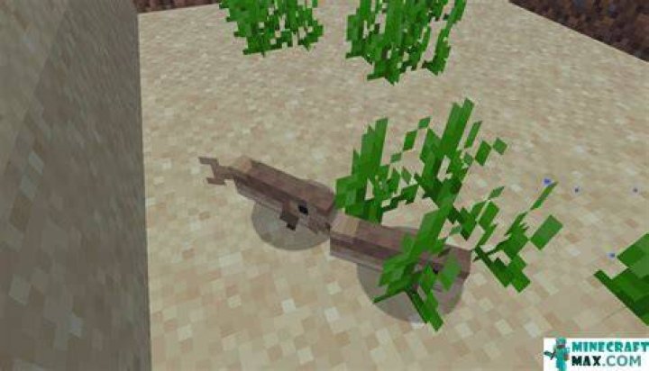 Where to find cod in minecraft