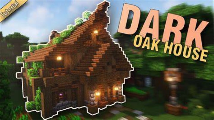 Where to find dark oak in minecraft