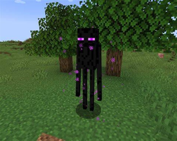 Where to find enderman in minecraft