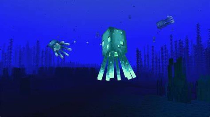 Where to find glow squid in minecraft