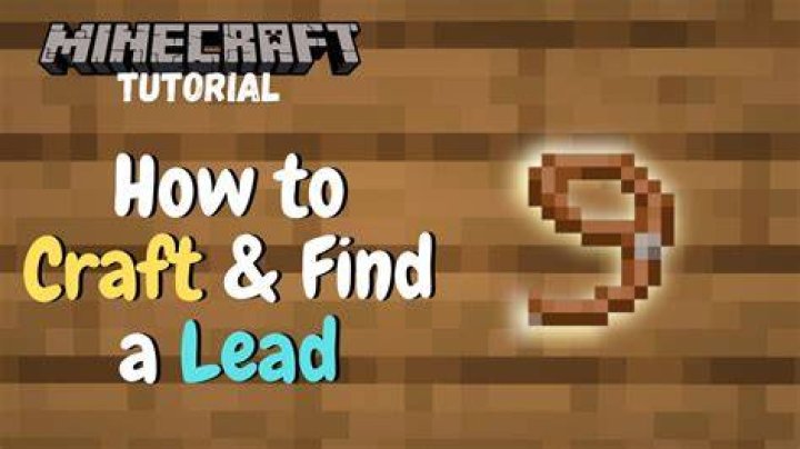 Where to find leads in minecraft