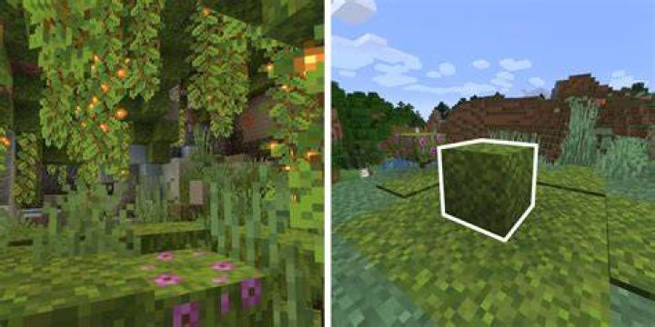 Where to find moss blocks in minecraft