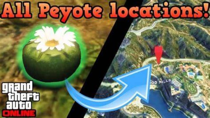 Where to find peyotes in gta 5 online