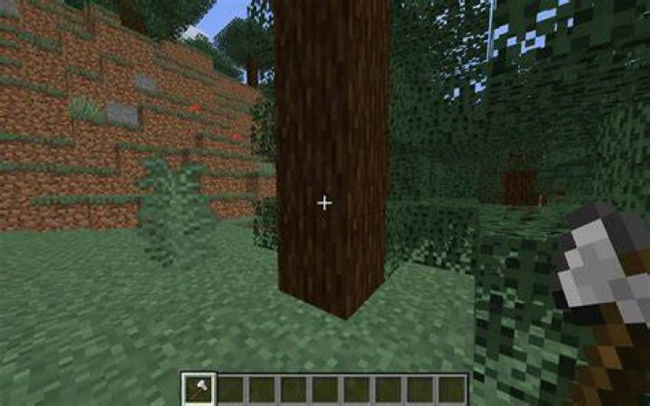 Where to find spruce wood in minecraft