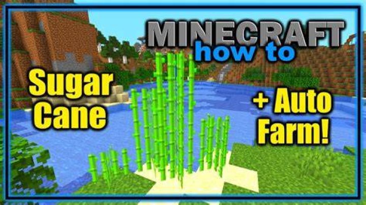 Where to find sugar cane in minecraft
