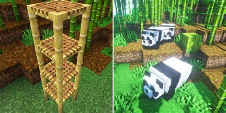 Where to get bamboo in minecraft