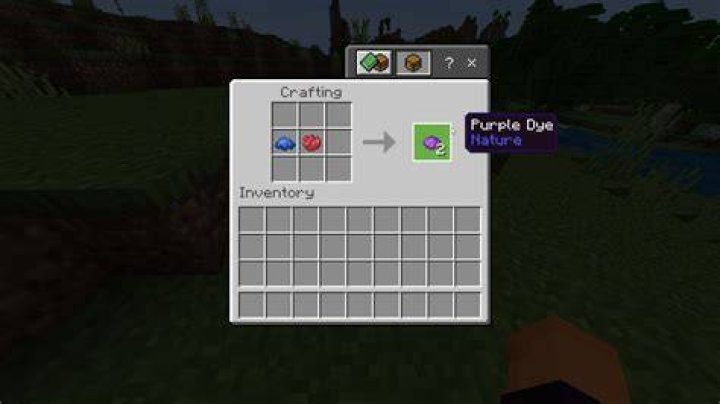 Where to get purple dye in minecraft